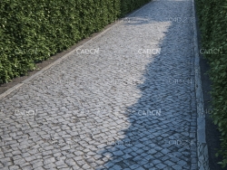 绿化带道路石头小路石头路面贴图模型 green belt path c4d model