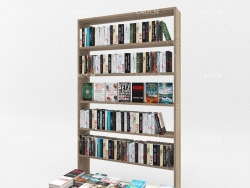 摆满图书的图书馆书架C4D模型