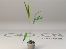 竹3D模型 竹子盆景模型 Bamboo