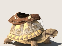 C4D乌龟模型（包含骨骼绑定动画) Turtle_BC 3D Model