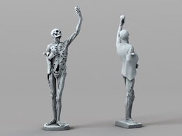 手举心的骷髅雕塑C4D模型 Skeleton sculpture