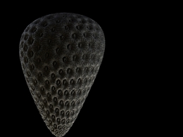 跟着教程做的草莓静帧，毛病很多。请大家指出