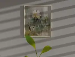 光影静物