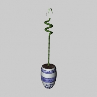 室内景观植物：富贵竹C4D模型 Dracaena sanderiana