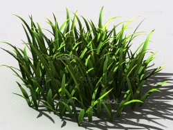 野草植物C4D模型 wild-grass-a1