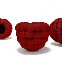 木莓C4D模型 raspberry