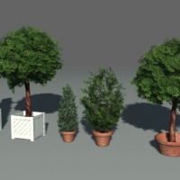 景观树 盆景树C4D模型 TreesIn Box