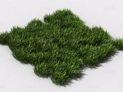 花纹草坪草地绿草植物C4D模型 pattern_lawn-grass-2