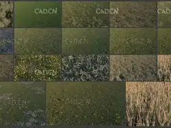 15个C4D OCTANE写实草地模型预设 Grassland c4d lib4d