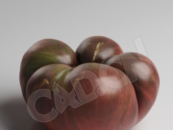C4D蔬菜西红柿番茄模型 Tomatoe