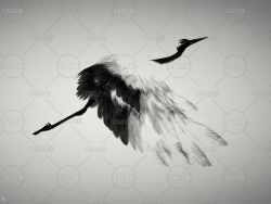 水墨仙鹤C4D绑定动画 INK CRANE
