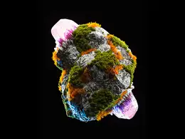 C4D实用工程第569季：科幻晶体岩石C4D工程 C4D Project[Cinema4D - Octane]