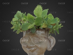 可爱头像花盆C4D模型 Avatar flowerpot