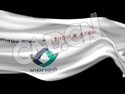 C4D企业旗飘扬动画模型 flag