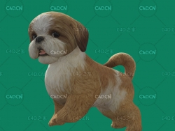 C4D西施犬宠物狗模型