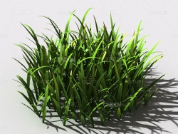 草坪草地绿草植物C4D模型 lawn-grass-a1