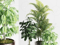 3盆大厅客厅植物盆栽模型散尾葵三药槟榔