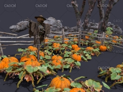 地里生长的南瓜蔓C4D模型 pumpkin