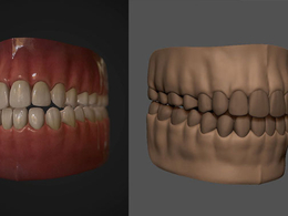 人的牙齿C4D模型 teeth set