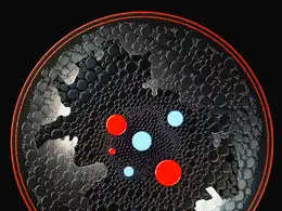 C4D实用工程第266季：挤压转动的细胞 病毒创意C4D工程文件 c4d project