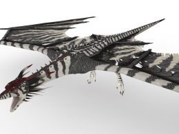 魔龙C4D模型 Sky wyrm 3d model