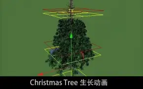 C4D树木生长动画视频教程 Christmas Tree