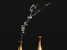 樱桃花枝条插花模型ALUMINIUM VASES with CHERRY BRANCH by ZARA HOME 3D model