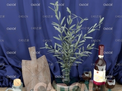 餐桌食品拍摄布景C4D模型