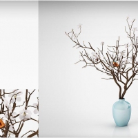 室内装饰艺术-插花：桃花C4D模型 Peach flower 3D model