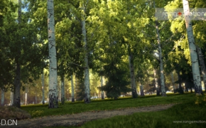 C4D植物库模型|3D Plants for Cinema 4D