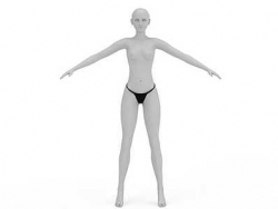 性感女模特模型