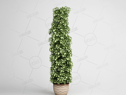 公司景观植物盆栽绿植模型下载