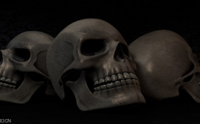 人类颅骨模型 骷髅头C4D模型 Skull 3D Model