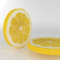 切片柠檬3D模型 lemon thin slice