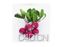 C4D蔬菜模型-清水萝卜模型 Radish
