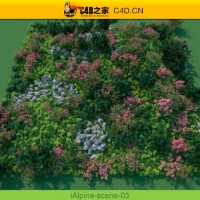 阿尔卑斯山植物和石头模型包R&D Group – iAlpine for MultiScatter