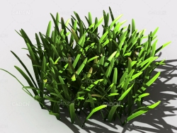 草坪草地绿草植物C4D模型 lawn-grass-b2