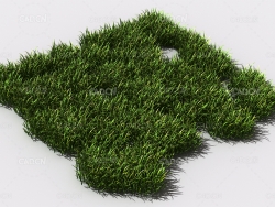 花纹草坪草地绿草植物C4D模型 pattern_lawn-grass-1