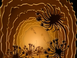 C4D花卉蒲公英剪贴画模型工程