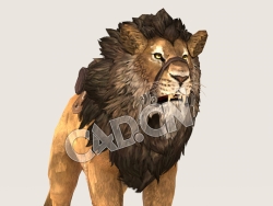 C4D狮子行走模型（包含骨骼绑定动画) Lion_Idle 3D Model