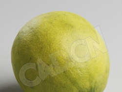 C4D青橙酸橙模型 Lime