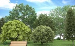 树木3D模型合集 Evermotion Archmodels Vol 58 MAX