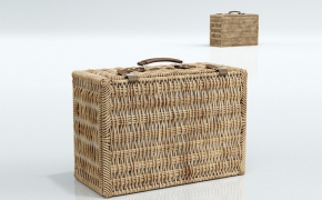 编织的手提箱C4D模型 Case 3D model