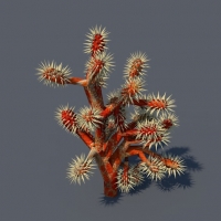 红珊瑚3d模型 Red Coral