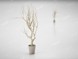 装饰树 decorative tree