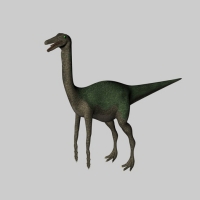 恐龙C4D模型：似鸡龙 Gallimimus