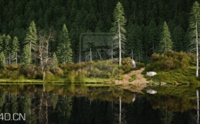 河边树林风景3D模型 Grass Hill Scene
