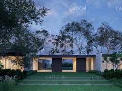 22棵园林树木3D模型 Plant Models