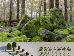 苔藓 苔藓植物 青苔石头C4D模型 CgTrader-Moss 7 Species and Stones - PBR Asset Kit