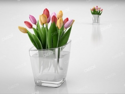 郁金香花束 tulip bouquet